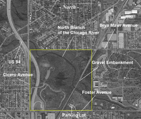 Aerial Photo of LaBagh Woods Forest Preserve