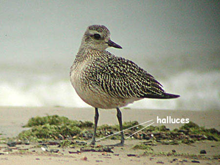 Early Fall 2004 Photo Quiz