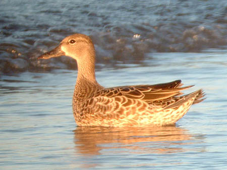 Early Fall 2006 Photo Quiz