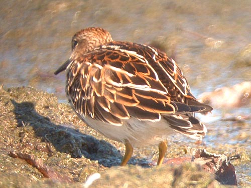 Early Fall 2009 Photo Quiz