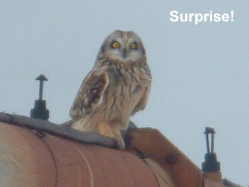 Early Spring 2005 Photo Quiz