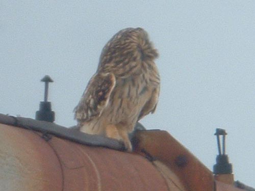 Early Spring 2005 Photo Quiz