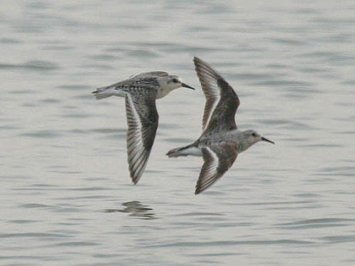 Early Summer 2007 Photo Quiz