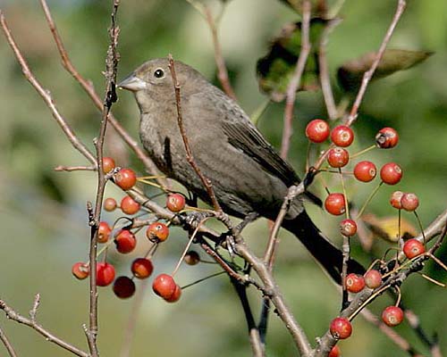 Early Winter 2007/2008 Photo Quiz