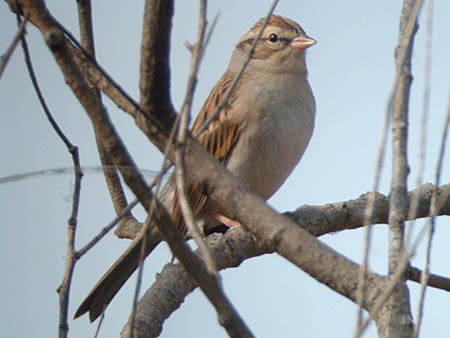 Late Fall 2006 Photo Quiz