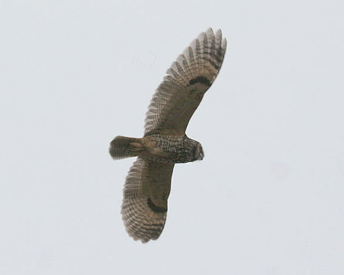 Late Fall 2007 Photo Quiz