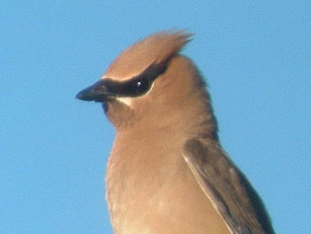 Late Winter 2006 Photo Quiz