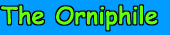 My Logo